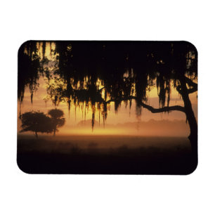 USA, Florida, Lake Kissimmee. Sunrise silhouette Magnet
