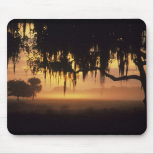 USA, Florida, Lake Kissimmee. Sunrise silhouette Mouse Mat