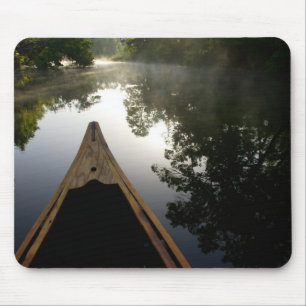 USA, Florida, Ocala National Forest, Alexander Mouse Mat