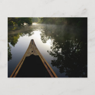 USA, Florida, Ocala National Forest, Alexander Postcard