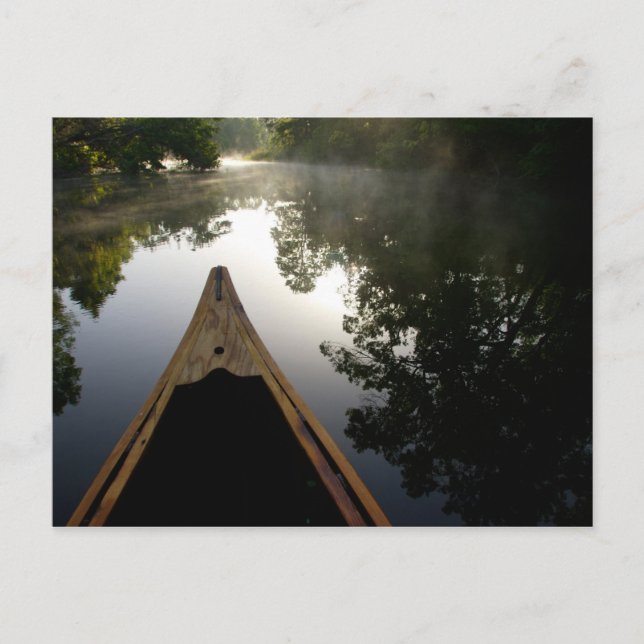 USA, Florida, Ocala National Forest, Alexander Postcard (Front)