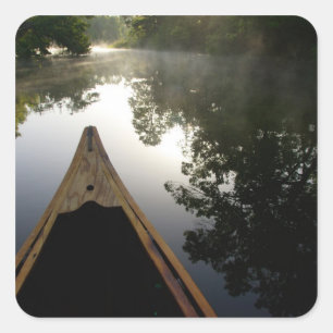 USA, Florida, Ocala National Forest, Alexander Square Sticker