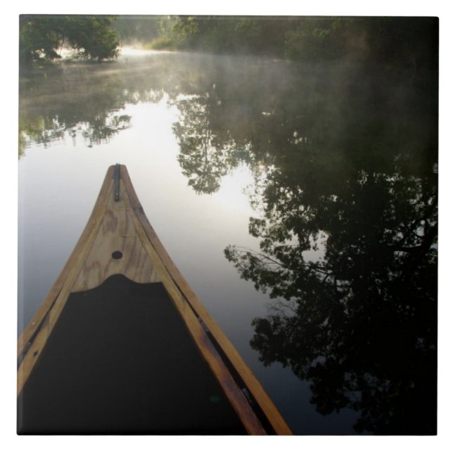 USA, Florida, Ocala National Forest, Alexander Tile (Front)