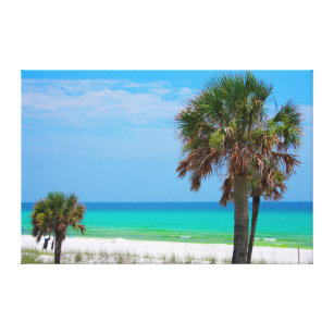 USA, Florida. Palm Trees On Emerald Coast Canvas Print