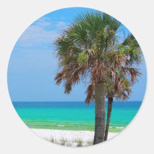 USA, Florida. Palm Trees On Emerald Coast Classic Round Sticker