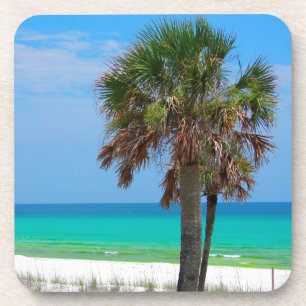 USA, Florida. Palm Trees On Emerald Coast Coaster