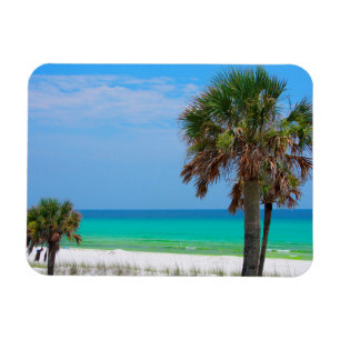 USA, Florida. Palm Trees On Emerald Coast Magnet