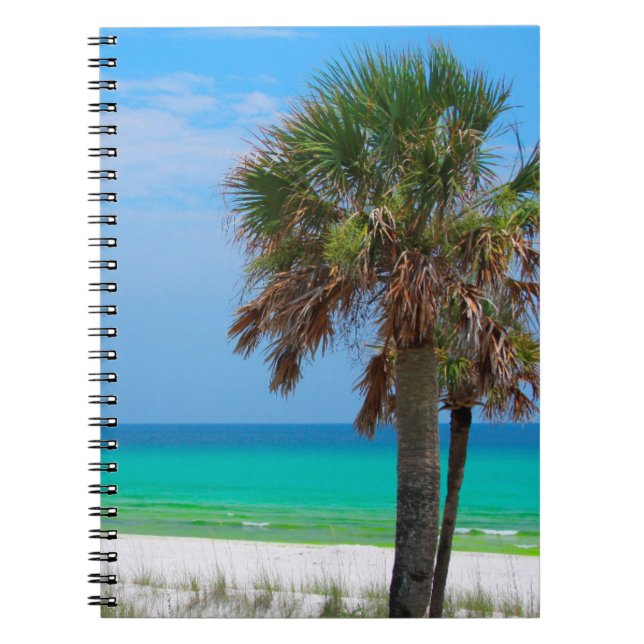 USA, Florida. Palm Trees On Emerald Coast Notebook (Front)