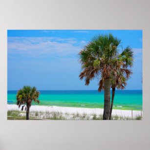 USA, Florida. Palm Trees On Emerald Coast Poster
