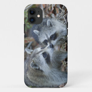 USA, Florida, Sanibel, Ding Darling National iPhone 11 Case