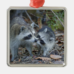 USA, Florida, Sanibel, Ding Darling National Metal Tree Decoration