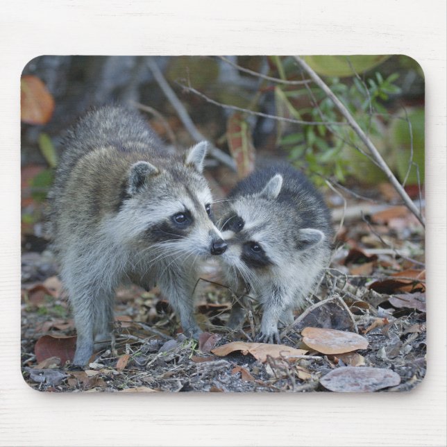 USA, Florida, Sanibel, Ding Darling National Mouse Mat (Front)