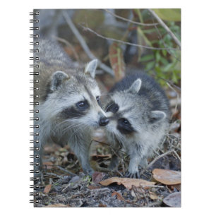 USA, Florida, Sanibel, Ding Darling National Notebook