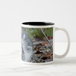USA, Florida, Sanibel, Ding Darling National Two-Tone Coffee Mug