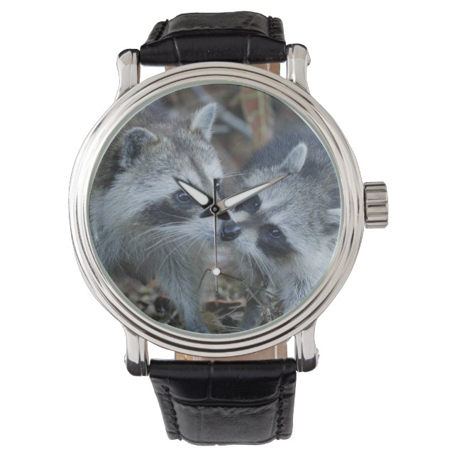 USA, Florida, Sanibel, Ding Darling National Watch (Front)