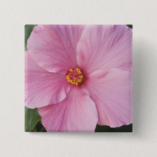 USA, Florida, Sanibel, Hibiscus Rose of 15 Cm Square Badge