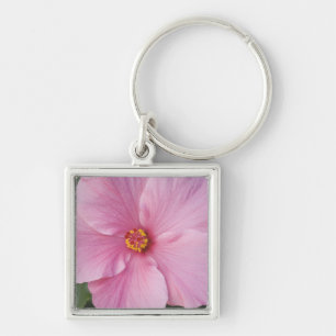 USA, Florida, Sanibel, Hibiscus Rose of Key Ring