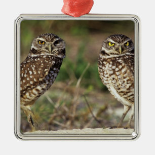 USA, Florida, Sanibel Island. Close-up of Metal Tree Decoration