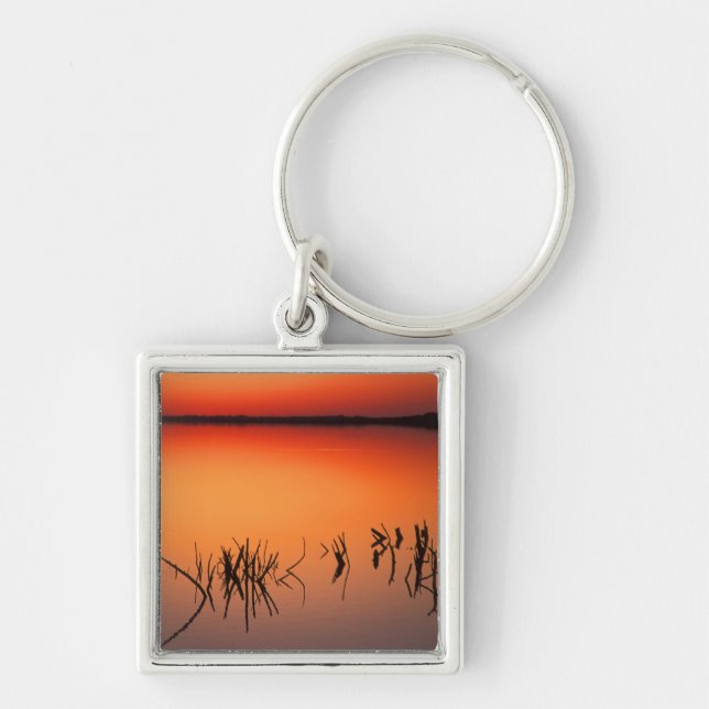 USA, Florida. Silhouettes of dead tree branches Key Ring (Front)