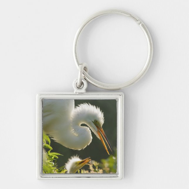 USA, Florida, St. Augustine, Alligator farm Key Ring (Front)