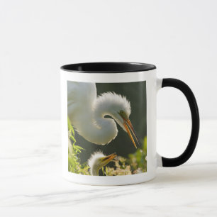 USA, Florida, St. Augustine, Alligator farm Mug