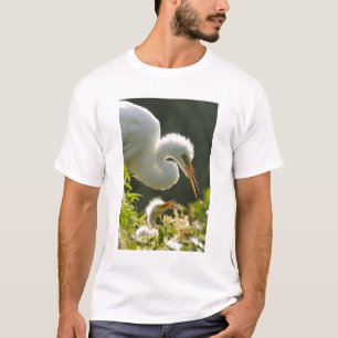 USA, Florida, St. Augustine, Alligator farm T-Shirt