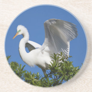 USA, Florida, St. Augustine, Egret Coaster