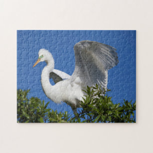 USA, Florida, St. Augustine, Egret Jigsaw Puzzle