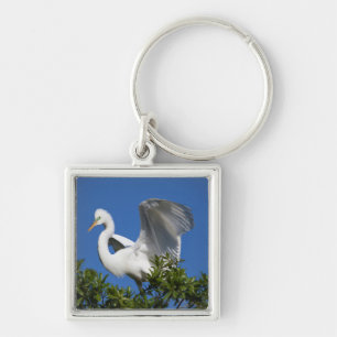 USA, Florida, St. Augustine, Egret Key Ring