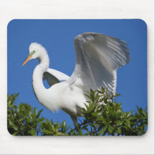 USA, Florida, St. Augustine, Egret Mouse Mat