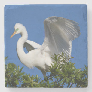USA, Florida, St. Augustine, Egret Stone Coaster