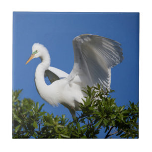 USA, Florida, St. Augustine, Egret Tile
