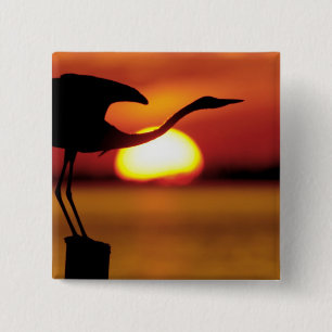 USA, Florida, St. Petersburg, Fort De Soto 15 Cm Square Badge