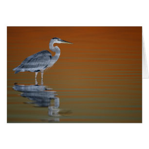 USA, Florida, St. Petersburg, Fort De Soto 2