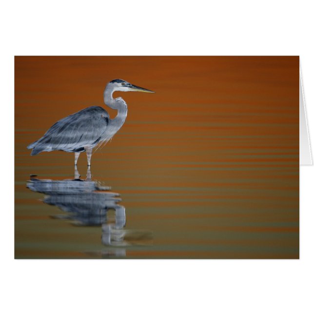 USA, Florida, St. Petersburg, Fort De Soto 2 (Front Horizontal)