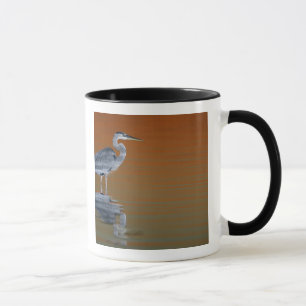 USA, Florida, St. Petersburg, Fort De Soto 2 Mug