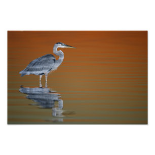 USA, Florida, St. Petersburg, Fort De Soto 2 Photo Print