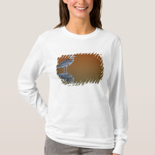 USA, Florida, St. Petersburg, Fort De Soto 2 T-Shirt