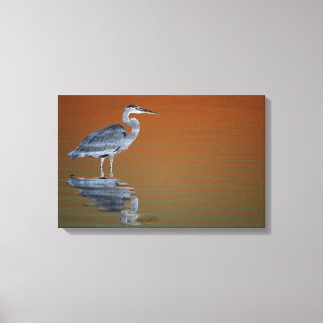 USA, Florida, St. Petersburg, Fort De Soto Canvas Print (Front)