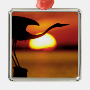 USA, Florida, St. Petersburg, Fort De Soto Metal Tree Decoration