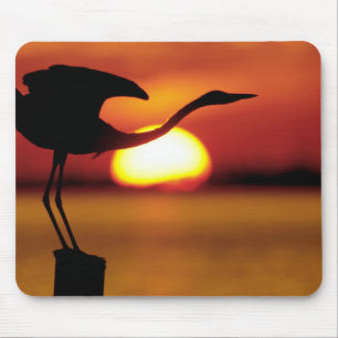 USA, Florida, St. Petersburg, Fort De Soto Mouse Mat