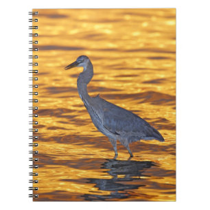 USA, Florida, St. Petersburg, Fort De Soto Park. Notebook