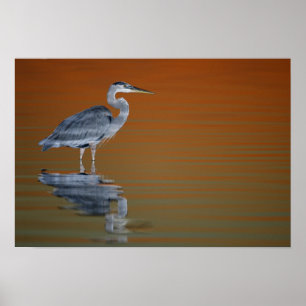 USA, Florida, St. Petersburg, Fort De Soto Poster