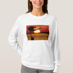 USA, Florida, St. Petersburg, Fort De Soto T-Shirt