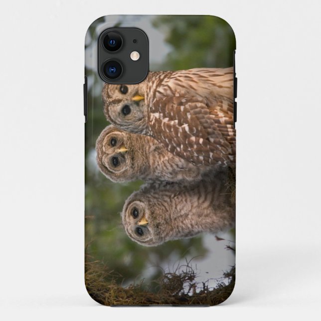 USA, Florida, Viera Wetlands. Three barred Case-Mate iPhone Case (Back)
