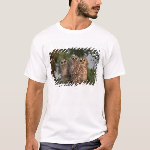 USA, Florida, Viera Wetlands. Three barred T-Shirt