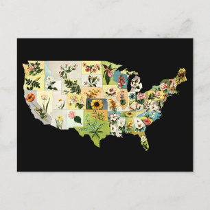 USA flower map Postcard