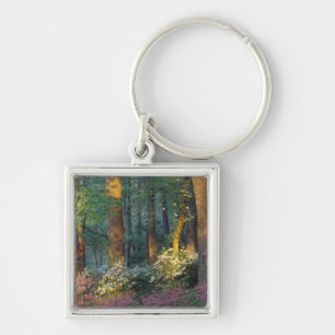 USA, Georgia, Callaway Gardens, Azalea forest. Key Ring