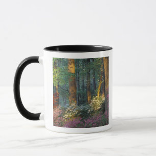 USA, Georgia, Callaway Gardens, Azalea forest. Mug