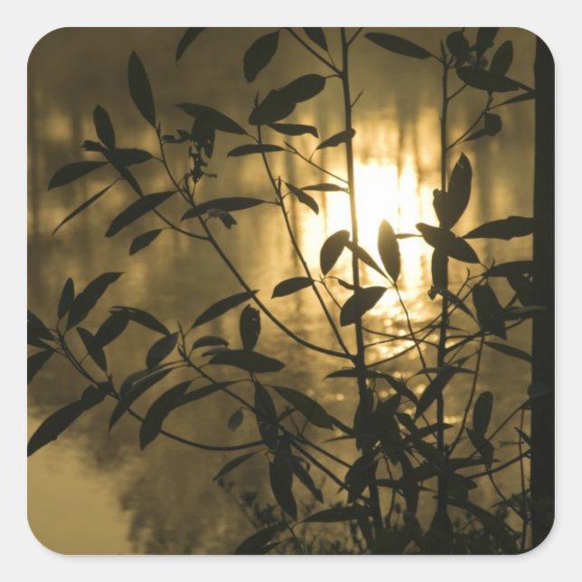 USA, Georgia, Callaway Gardens, Sunrise Square Sticker (Front)